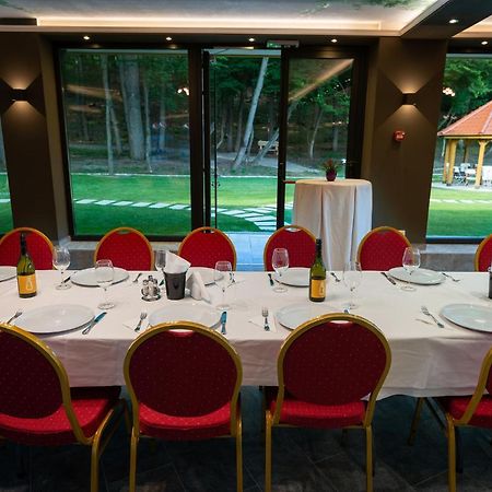 Panorama Boutique Hotel Sfântu-Gheorghe エクステリア 写真
