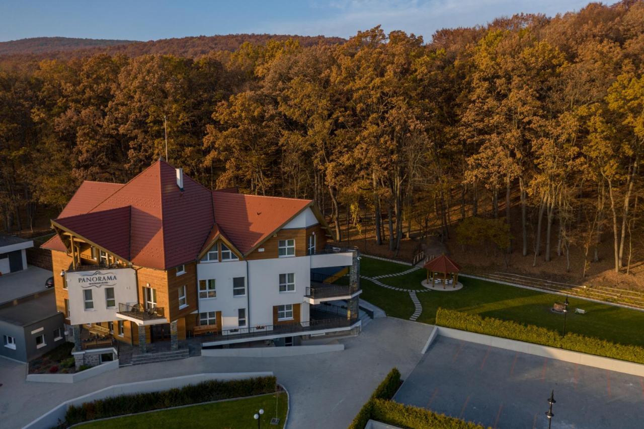 Panorama Boutique Hotel Sfântu-Gheorghe エクステリア 写真