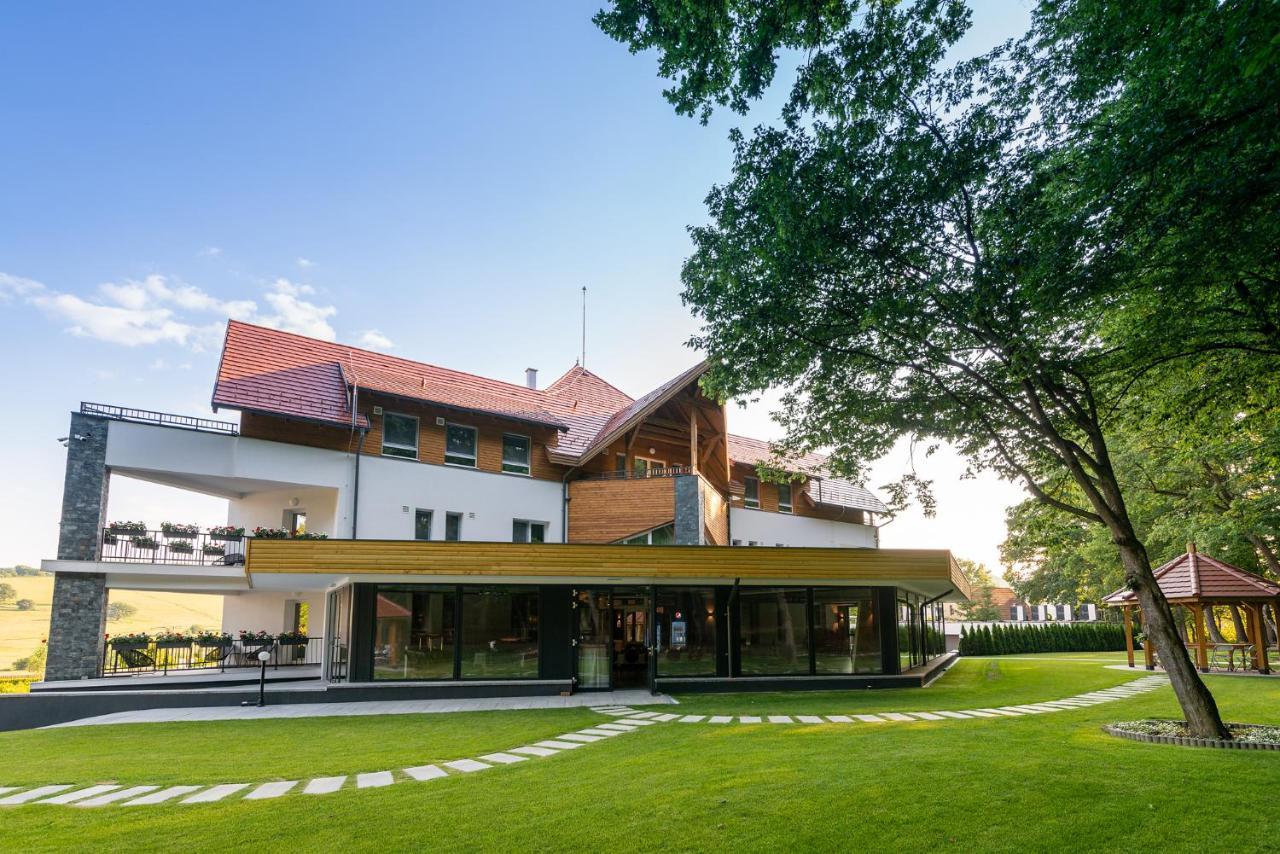 Panorama Boutique Hotel Sfântu-Gheorghe エクステリア 写真