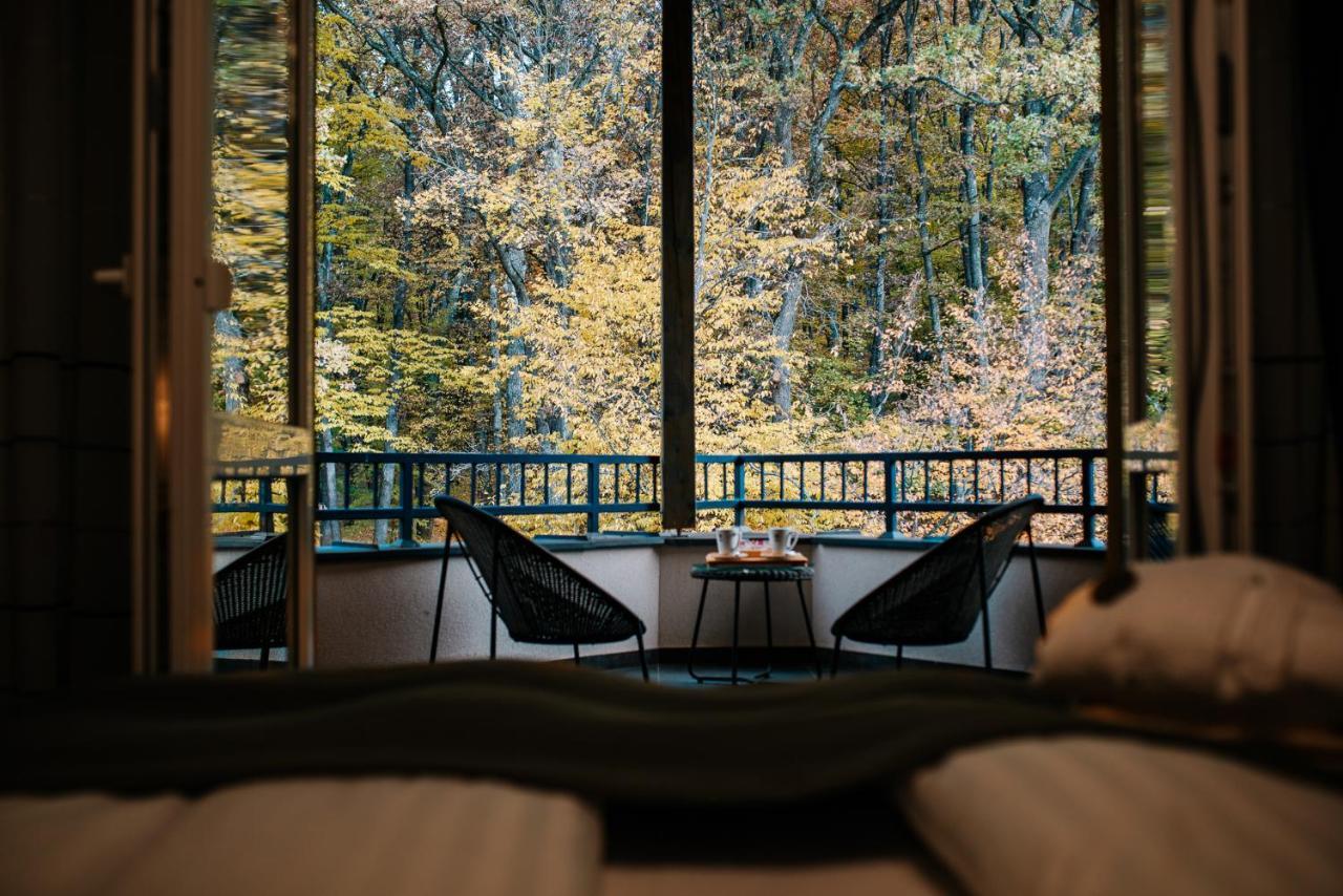 Panorama Boutique Hotel Sfântu-Gheorghe エクステリア 写真