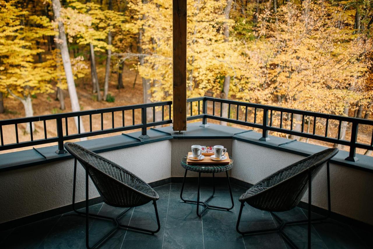 Panorama Boutique Hotel Sfântu-Gheorghe エクステリア 写真