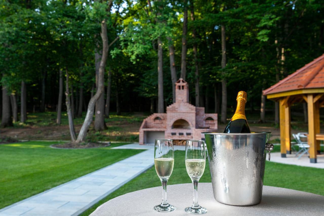 Panorama Boutique Hotel Sfântu-Gheorghe エクステリア 写真