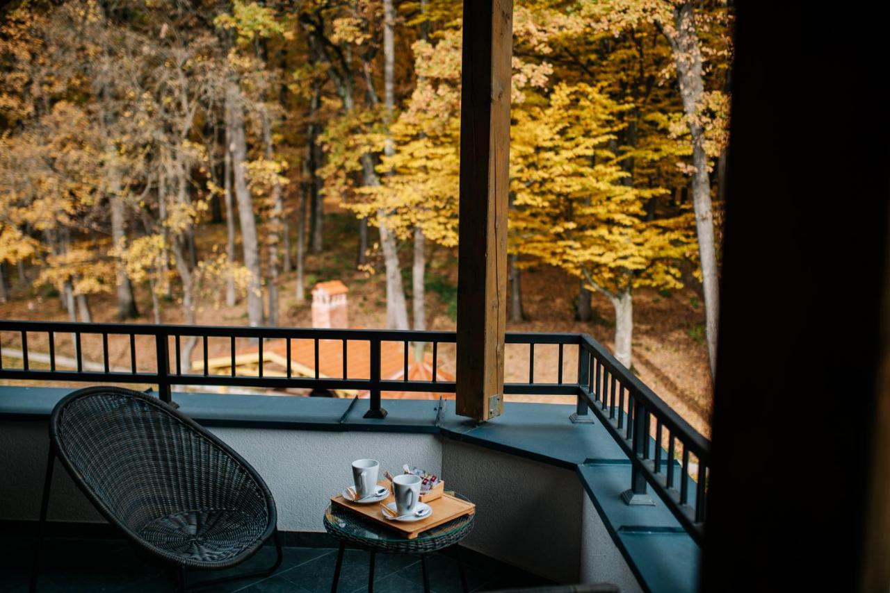 Panorama Boutique Hotel Sfântu-Gheorghe エクステリア 写真